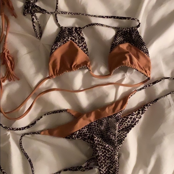 ACACIA Rare Snake Uns Set - Picture 3 of 4